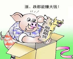 配资炒股平台的新风向：精准信息引领投资新纪元